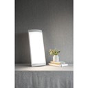 Afbeelding van Daglicht Lamp, Innolux voor thuisgebruik