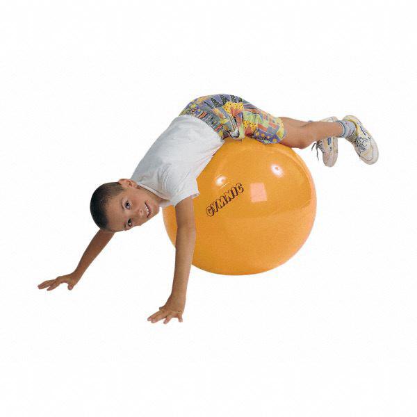 Gymnastiekbal, Fitnessbal, Bobathbal