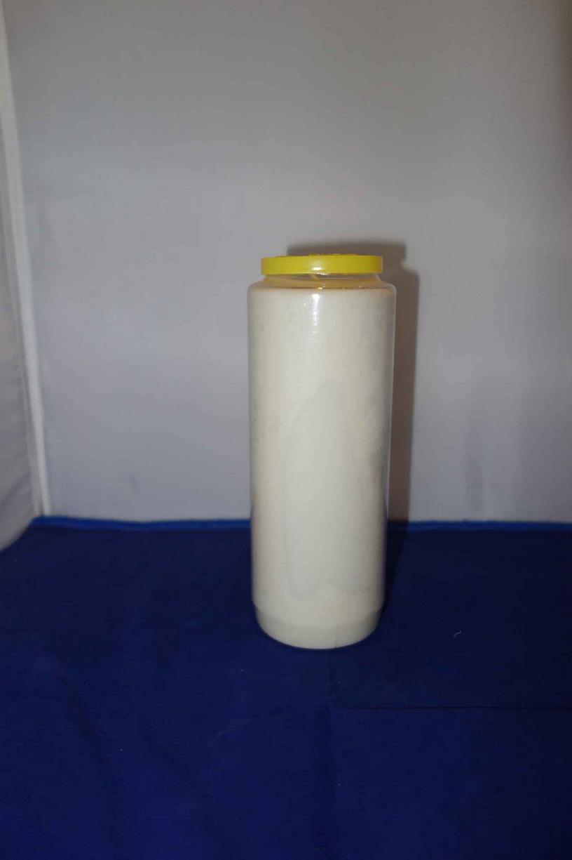 Kerk, Vaste Godslampolie 