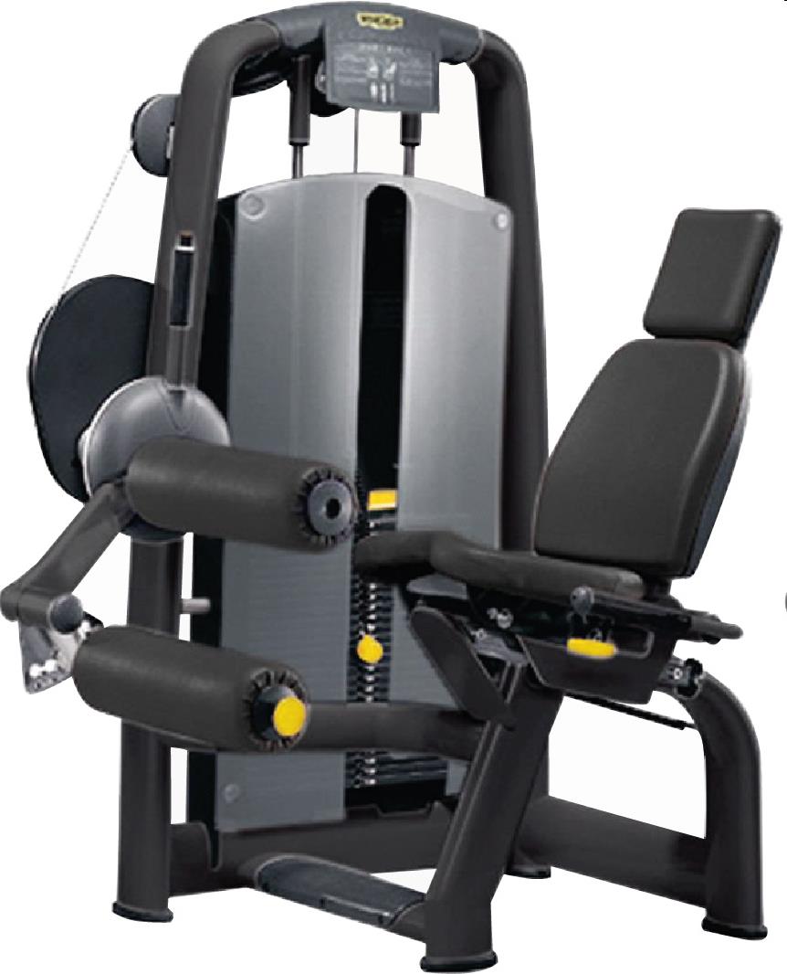 Fitness, Technogym Selection, Leg Curl