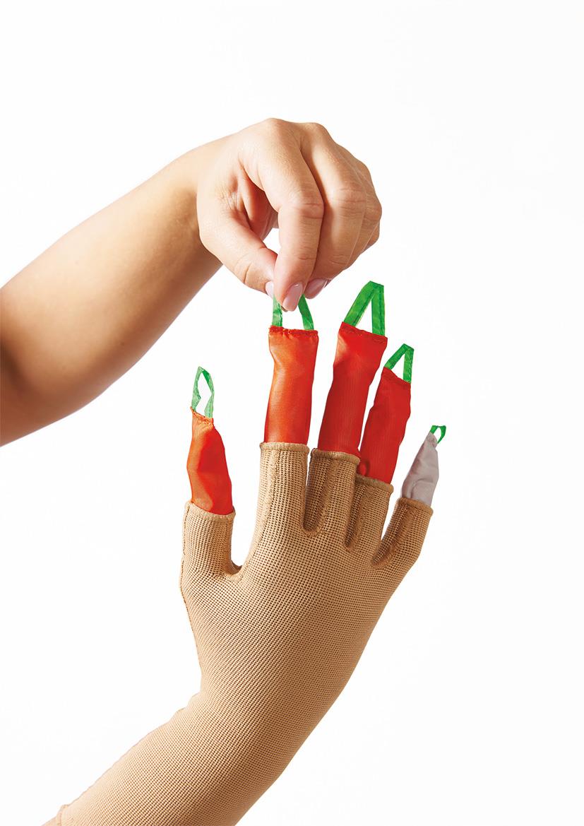 Aantrekhulp, Dactyna, Arion