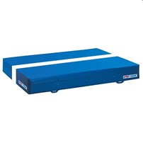 Sport, Valtmat Type 7 Coach Sport, Valtmat Type 7 Coach