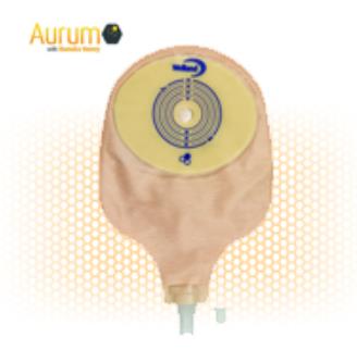 Urostoma, 1 Delig, Aurum, Midi, Welland 