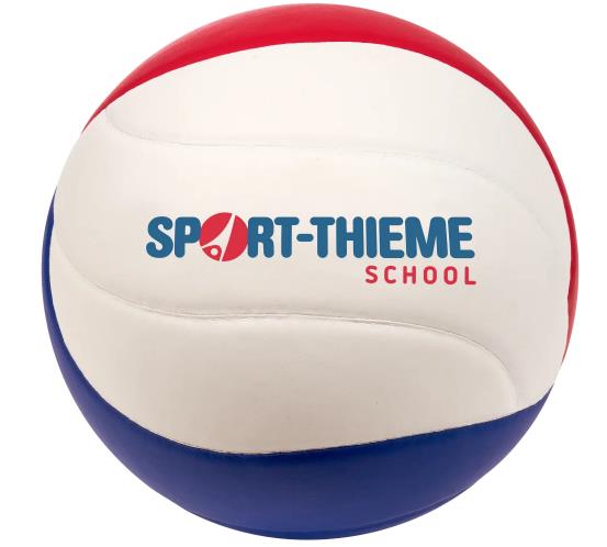 *Volleybal, Voor Beginner of School