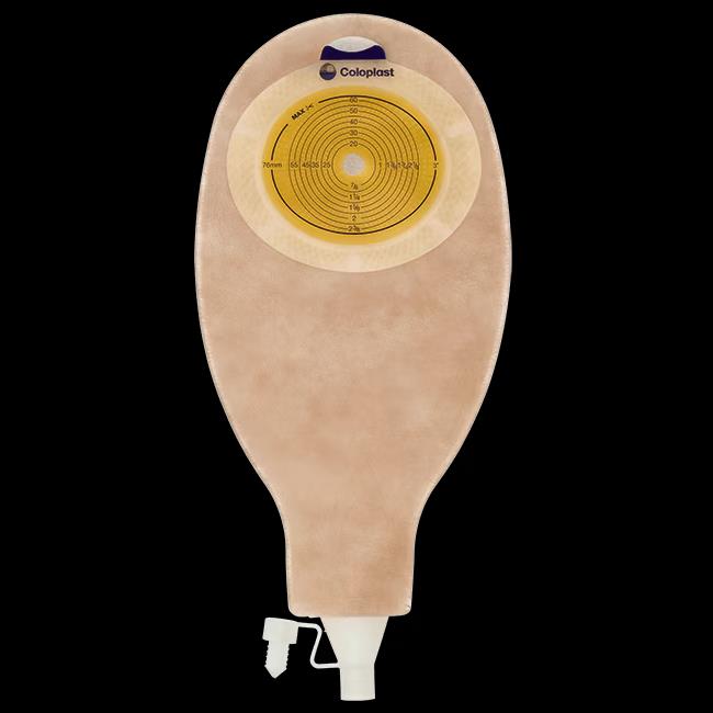 *Colostoma, 1 delig, Sensura HO KV + Kraan