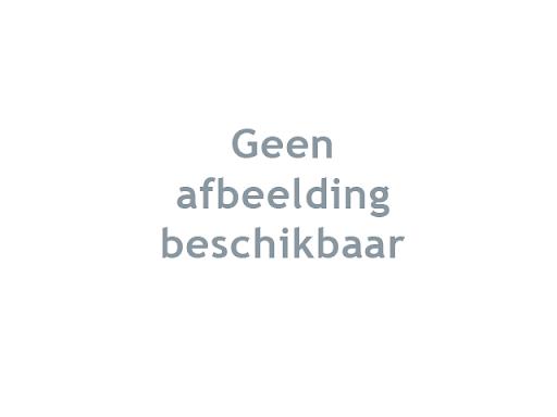 Scholing, Anatomie, Accessoires, Bevestigingsstrip Geslachtsdelen, Kort