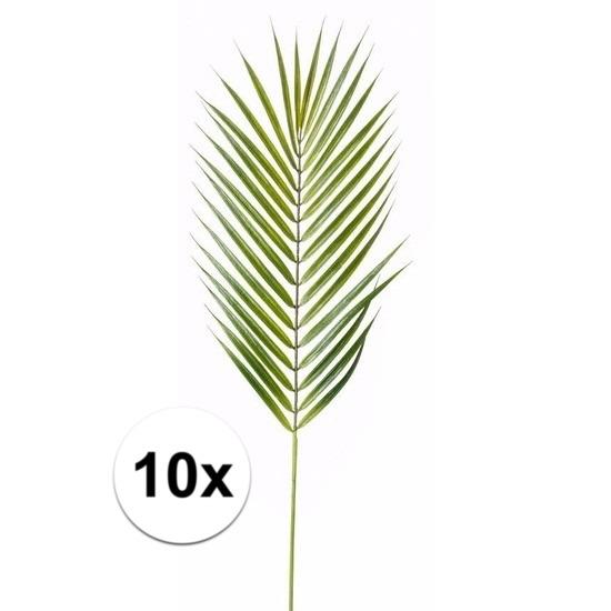 Decoratie, Kunst Bladeren Mexicaanse Dwergpalm