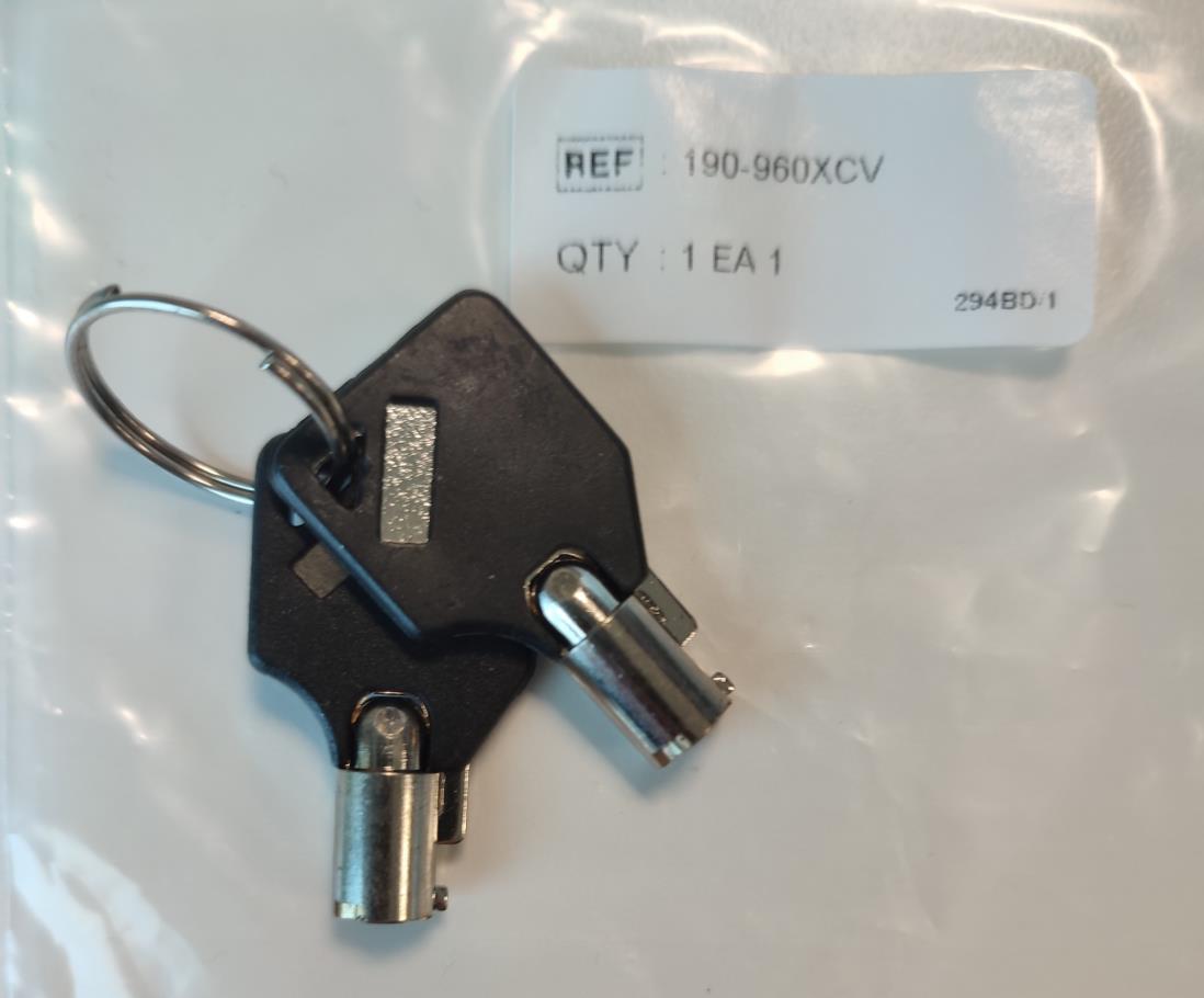 Infuuspomp, Spuitenpomp, Alaris GH-G Plus, Lock Box Sleutel set, Becton Dickinson