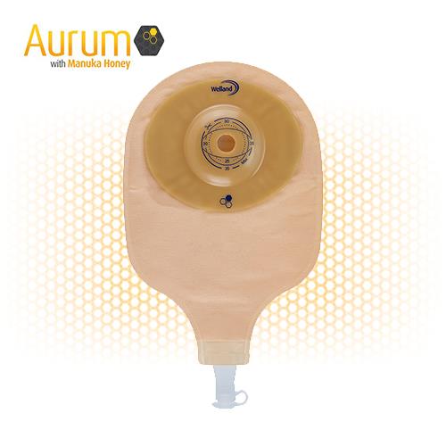 Urostoma, 1 Delig, Aurum, Convex, Midi, Welland