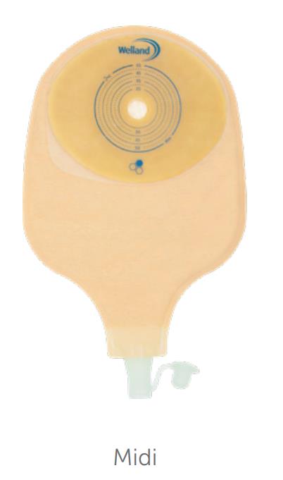 Urostoma, 1 Delig, Aurum, Midi, Welland
