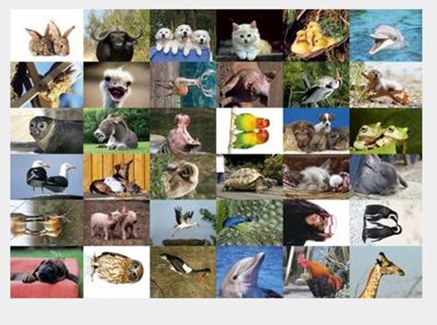 Speelgoed, beloningsstickers Aaibare dieren serie 273, 36 verschillende motieven