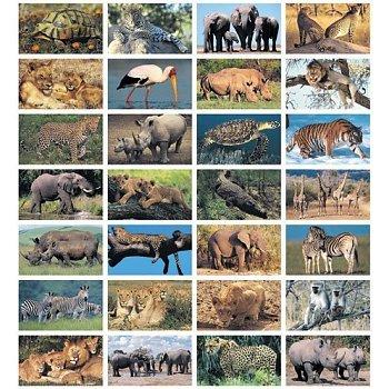 Beloningsstickers, Stickervel Wilde Dieren