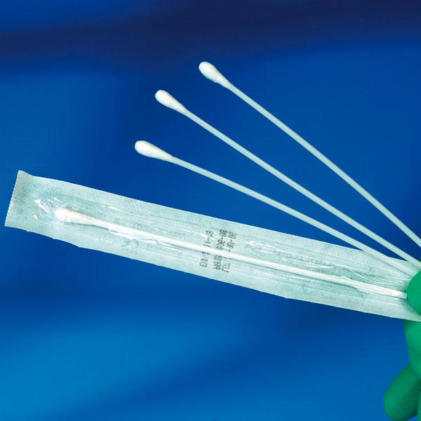 Wattenstaafje, Kleine Kop, Steriel